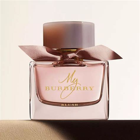 profumo burberry lanciato da rose|burberry perfume for women discontinued.